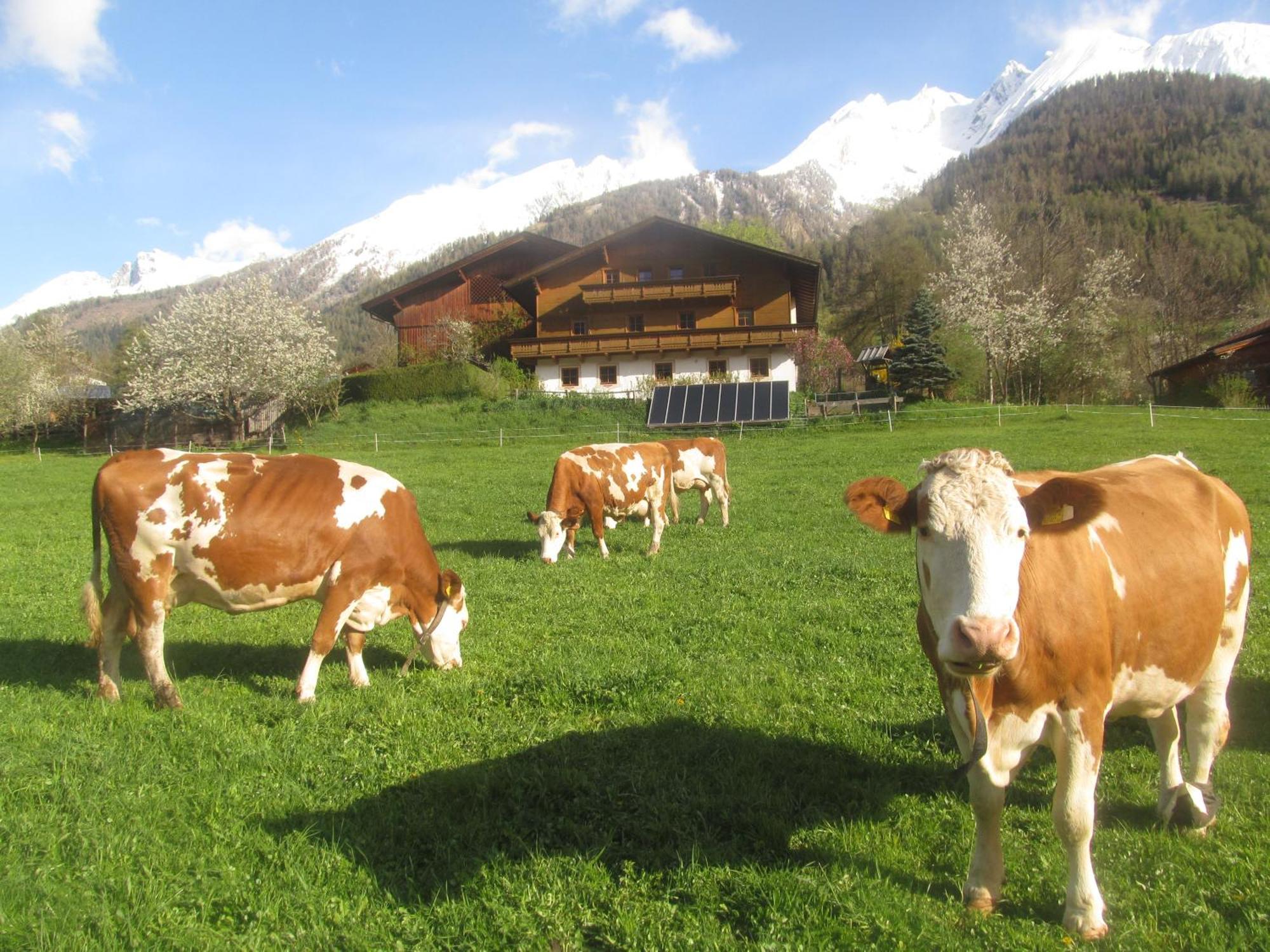 Klampererhof Villa Virgen Buitenkant foto